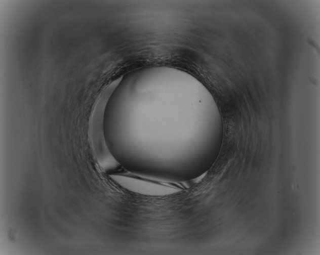 X0000091881153200709191150