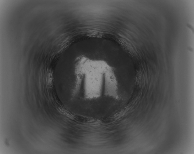 X0000091881154200709191150