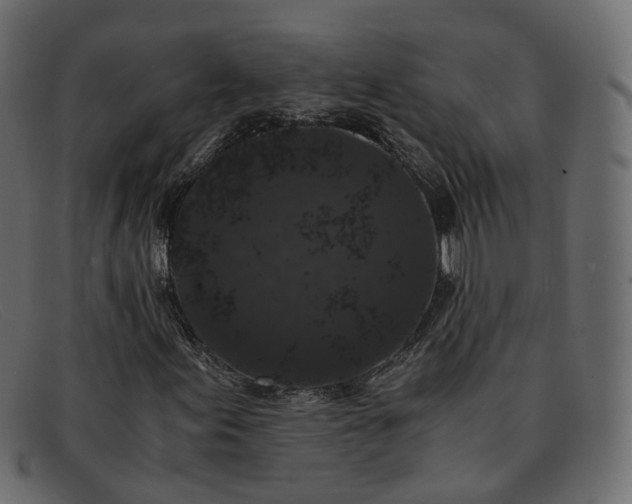 X0000091881155200709191150