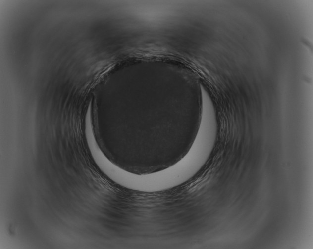 X0000091881156200709191150