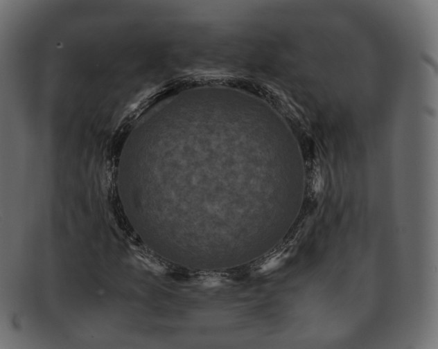 X0000091881157200709191150