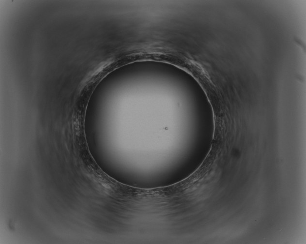 X0000091881159200709191150