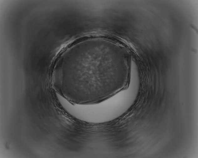 X0000091881160200709191150