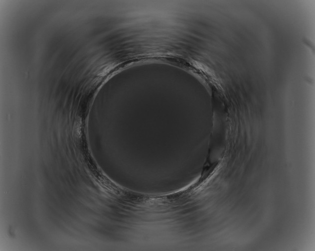 X0000091881161200709191150