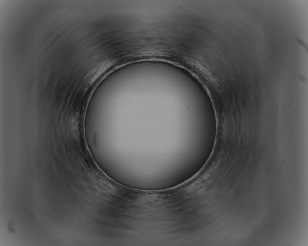 X0000091881162200709191150