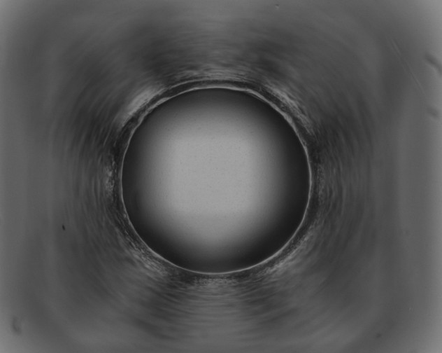 X0000091881163200709191150