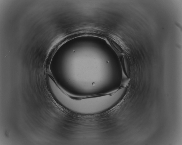 X0000091881164200709191150