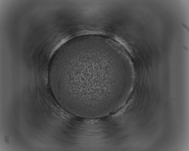 X0000091881165200709191150