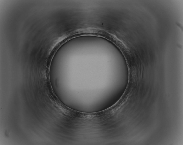 X0000091881166200709191150