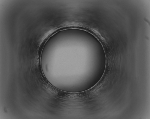 X0000091881167200709191150