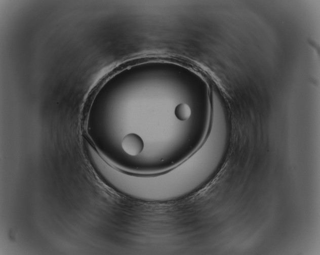 X0000091881168200709191150