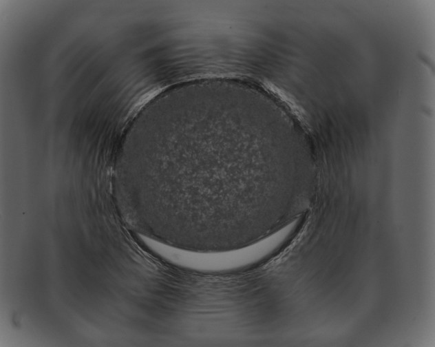 X0000091881169200709191150