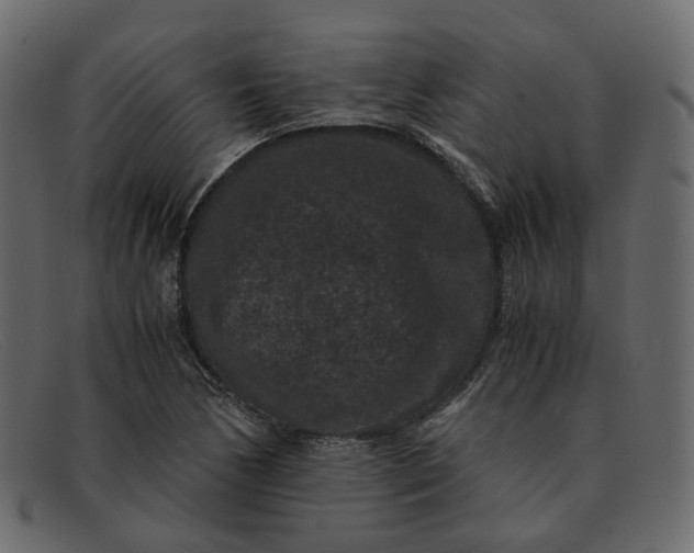 X0000091881170200709191150