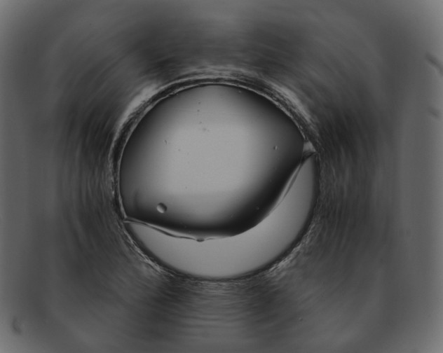 X0000091881172200709191150