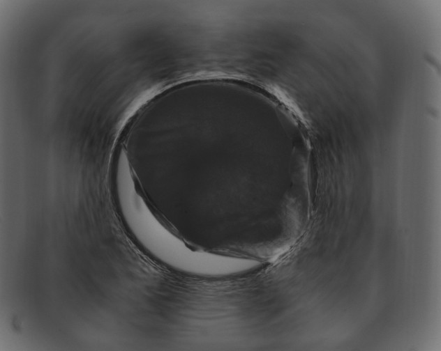 X0000091881173200709191150