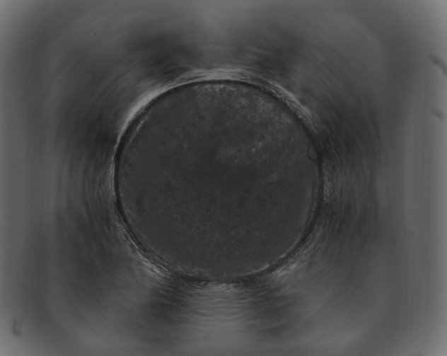 X0000091881174200709191150