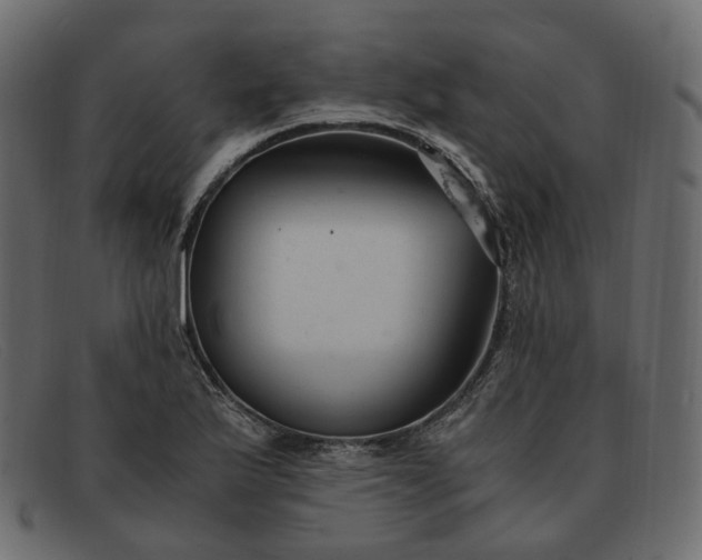 X0000091881175200709191150