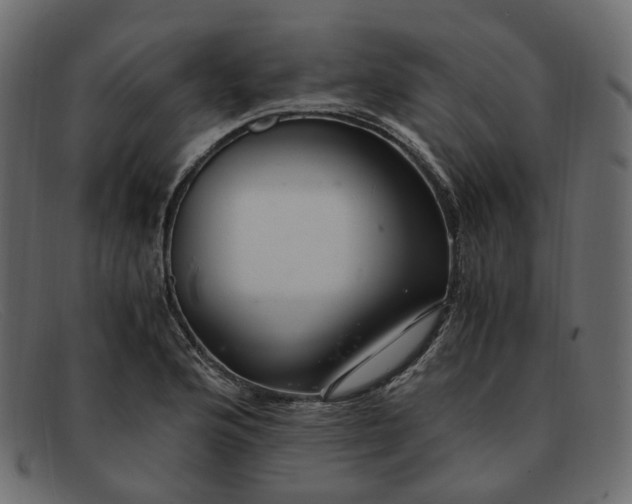 X0000091881176200709191150