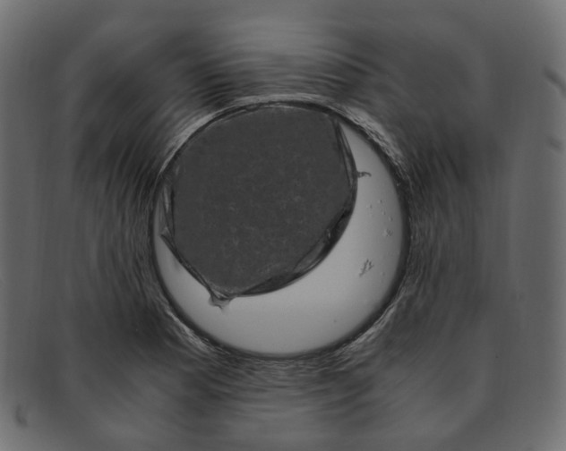 X0000091881177200709191150