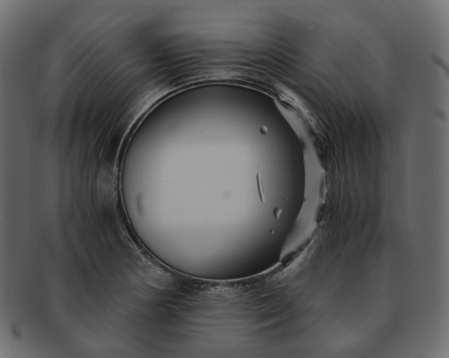 X0000091881178200709191150