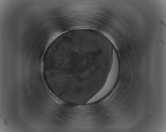 X0000091881179200709191150