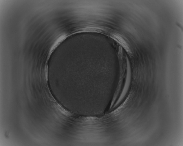 X0000091881180200709191150