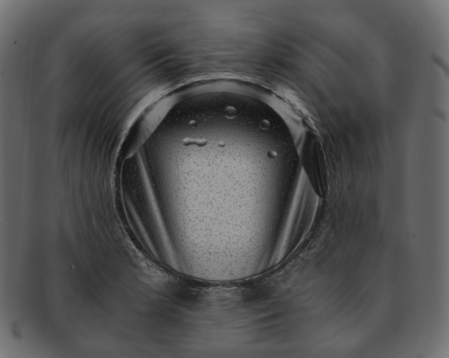 X0000091881181200709191150