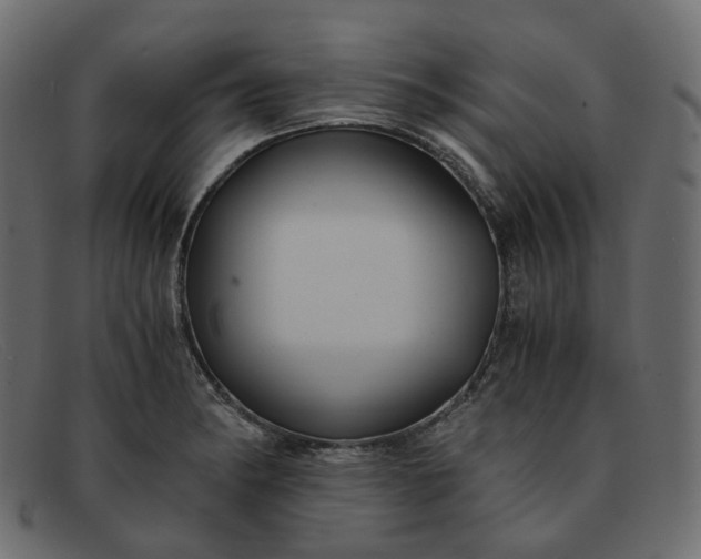 X0000091881182200709191150