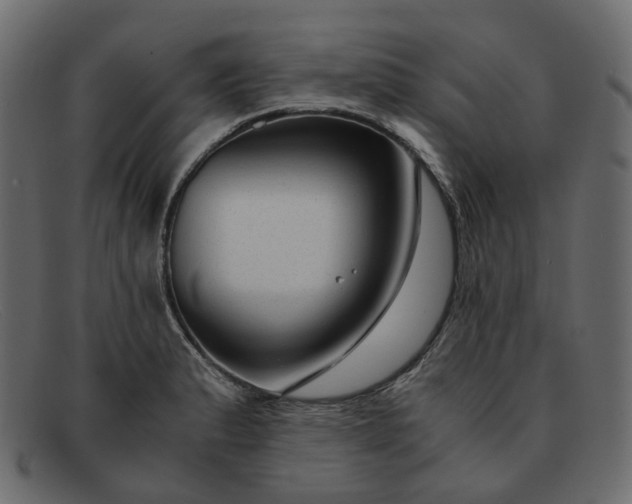 X0000091881183200709191150