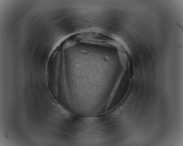 X0000091881184200709191150