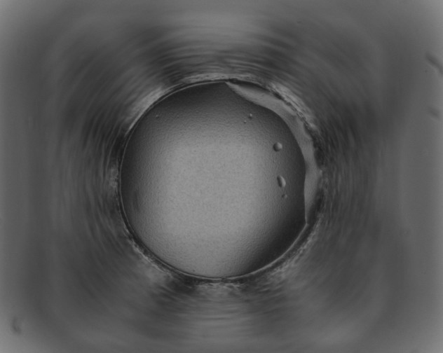 X0000091881185200709191150