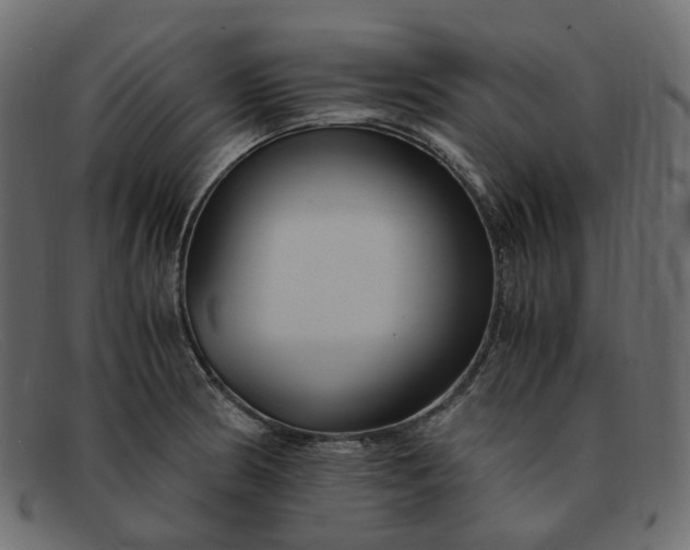 X0000091881186200709191150