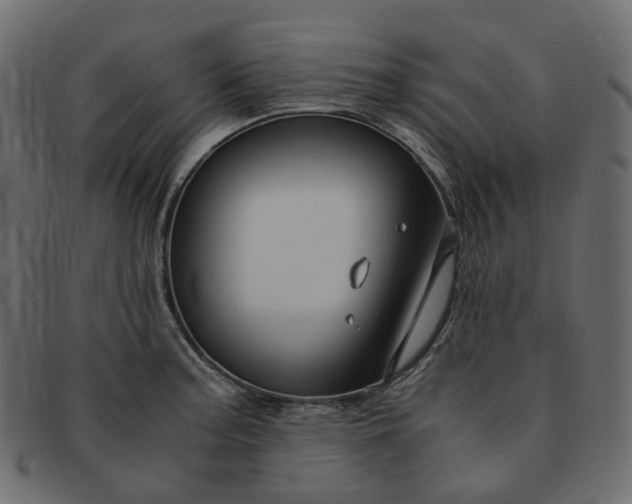 X0000091881187200709191150