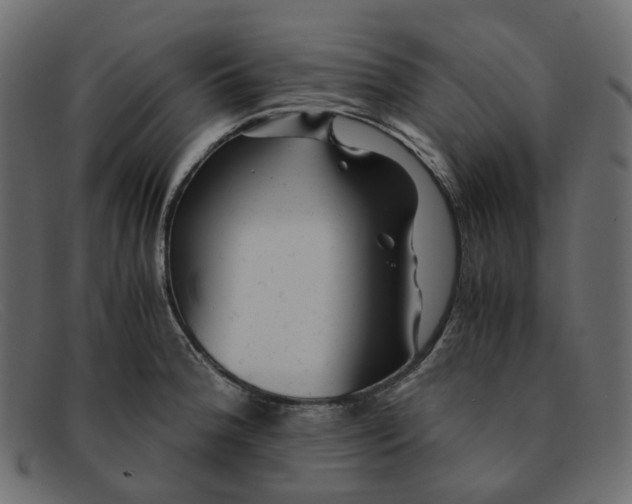 X0000091881188200709191150