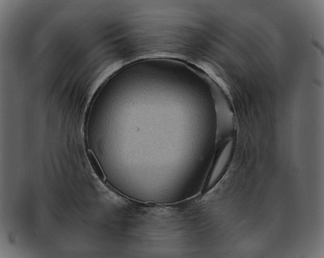 X0000091881189200709191150