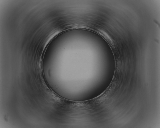 X0000091881190200709191150