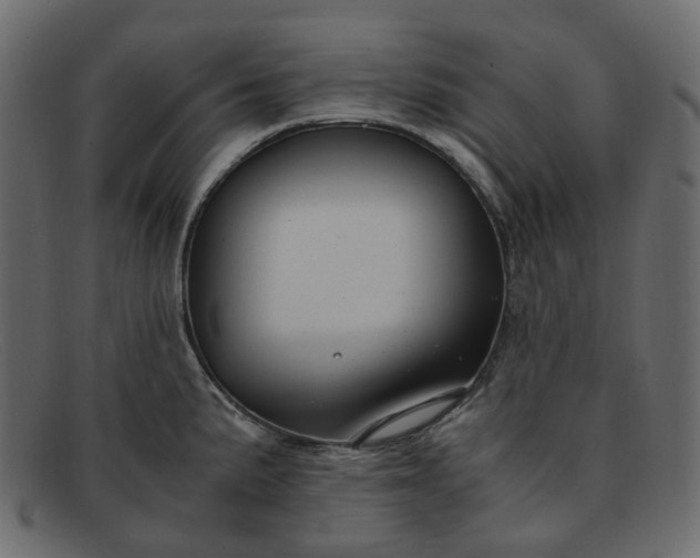 X0000091881191200709191150