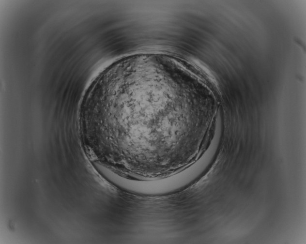 X0000091881192200709191150
