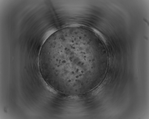 X0000091881194200709191150