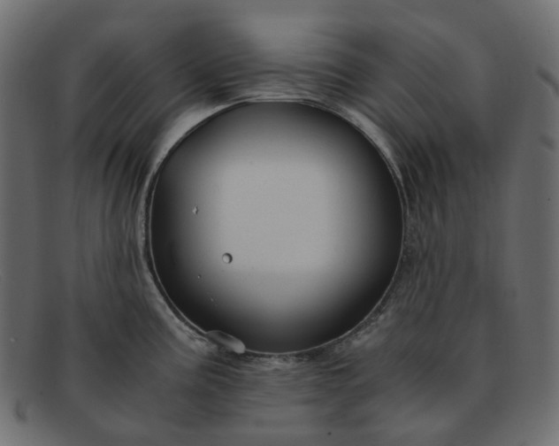 X0000091881195200709191150