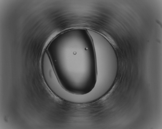 X0000091881196200709191150