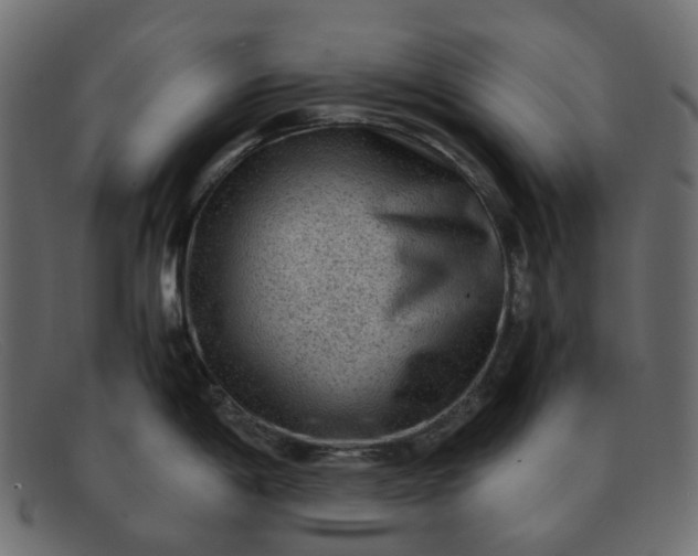 X0000091881198200709191150