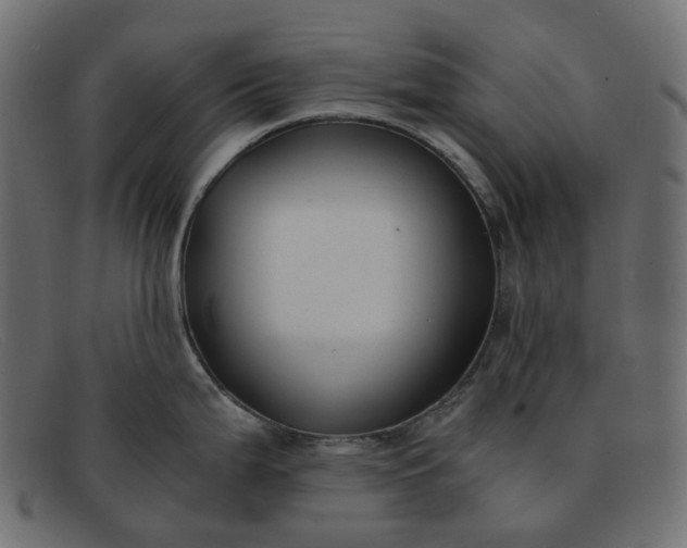 X0000091881199200709191150