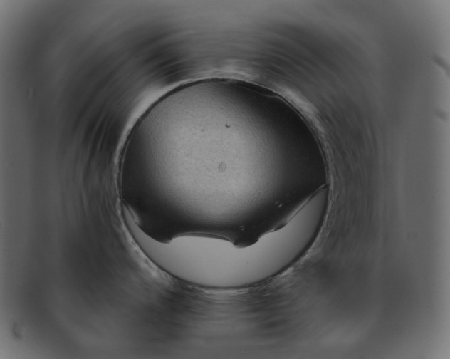 X0000091881200200709191150