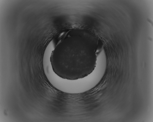 X0000091881202200709191149