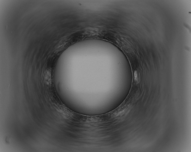 X0000091881203200709191149