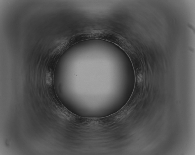 X0000091881204200709191149