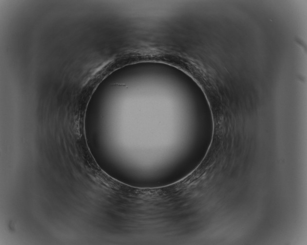 X0000091881205200709191149