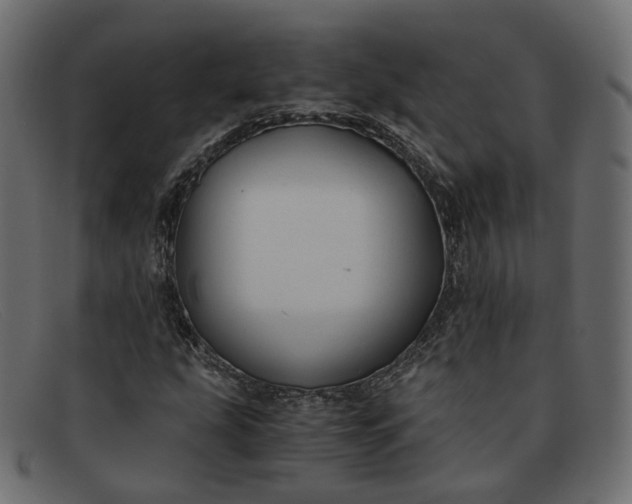 X0000091881207200709191149