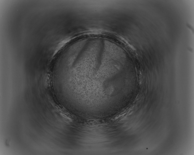 X0000091881208200709191149